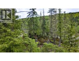 Dl 4772 Skeena River, Terrace, BC V8G0A8 Photo 33
