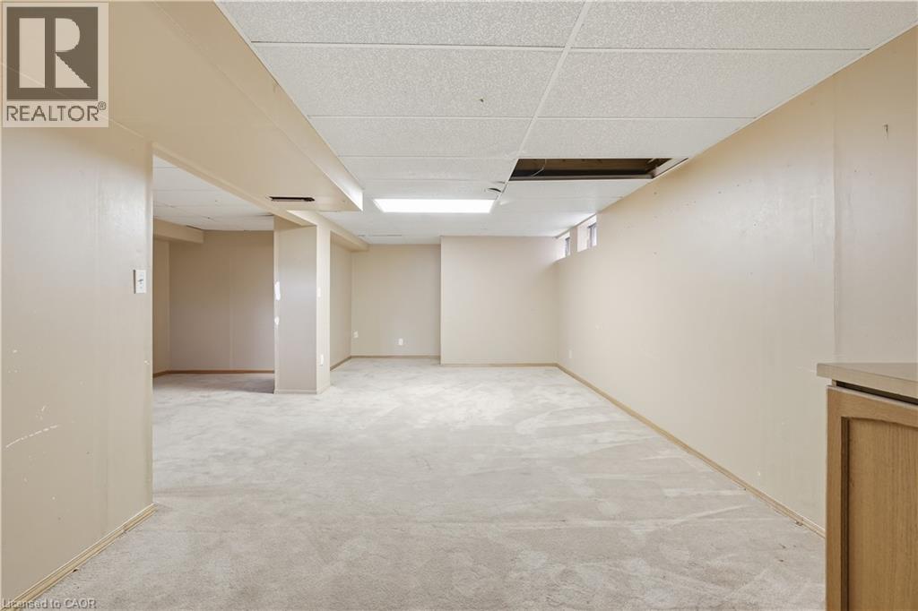 62 DRAGOON Drive - 34