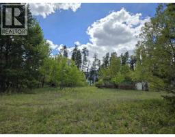 1400 5th Avenue, Valemount, BC V0E2Z0 Photo 8