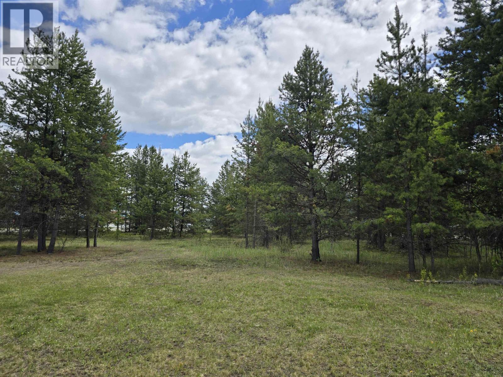 1400 5TH AVENUE, Valemount — photo 3