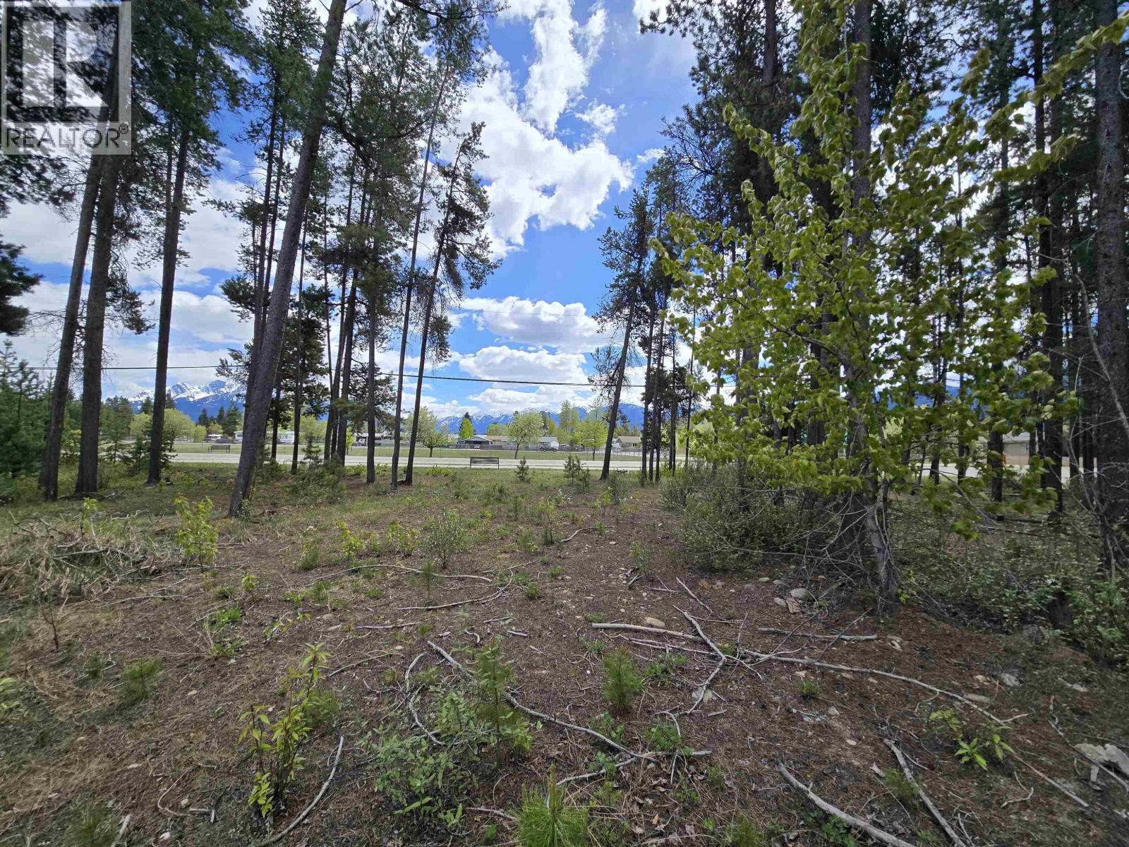 LOT 12 5TH AVENUE, Valemount — photo 3