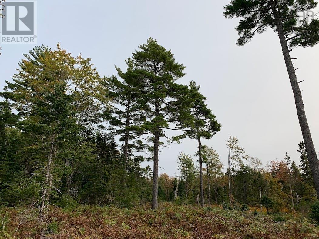 Lot 1 Cabin Pleasant River Preserve - 30