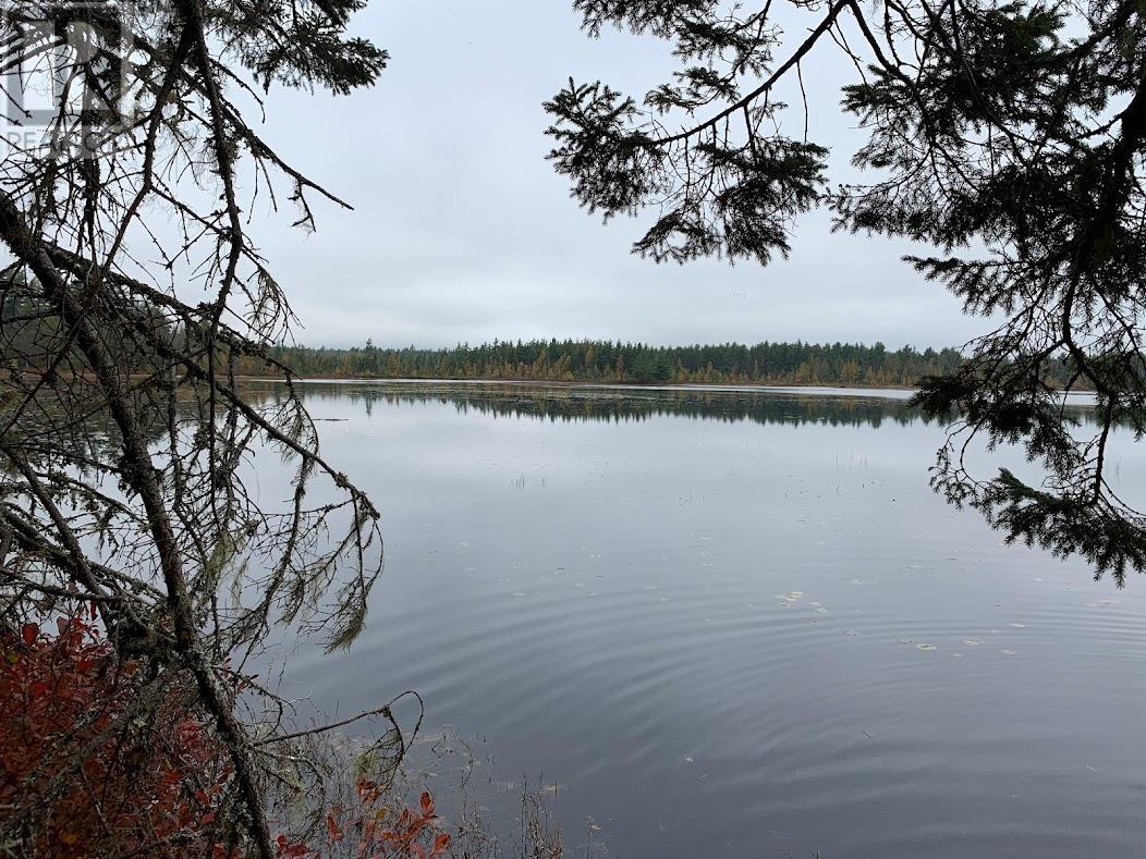 Lot 1 Cabin Pleasant River Preserve - 29