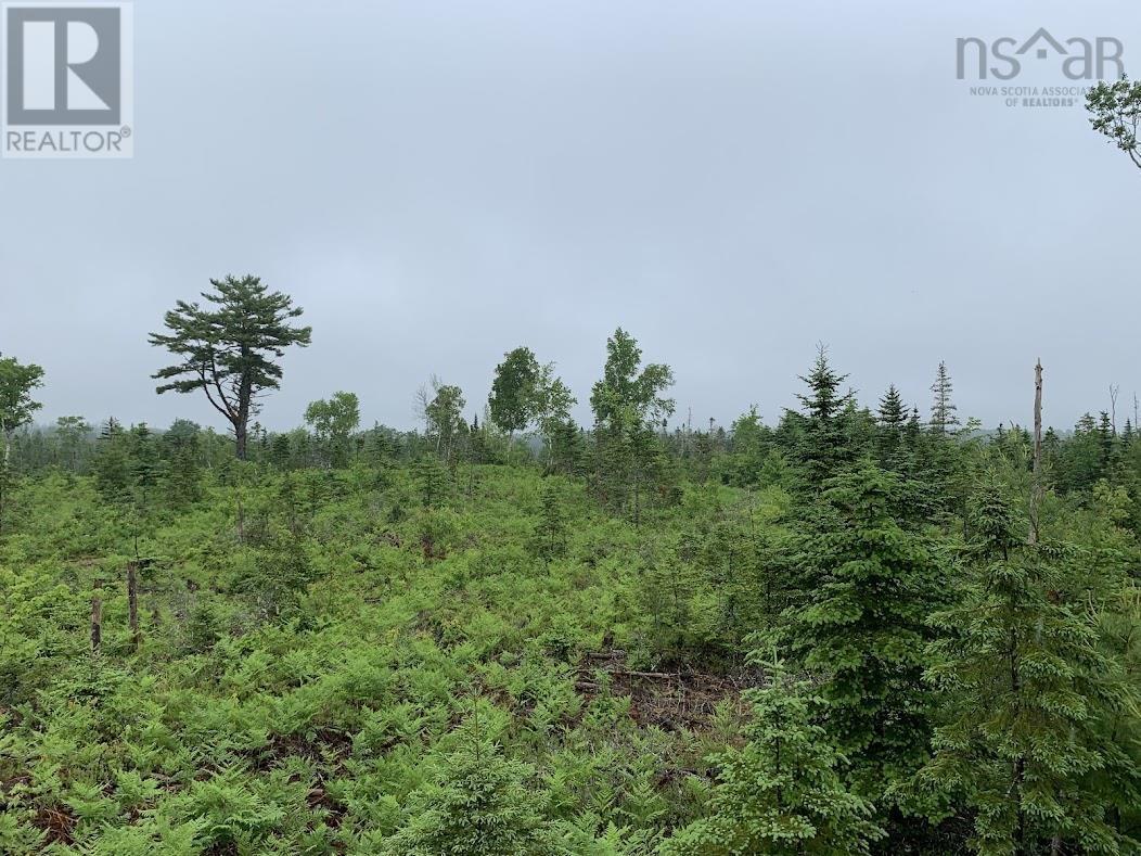 Lot 1 Cabin Pleasant River Preserve - 27
