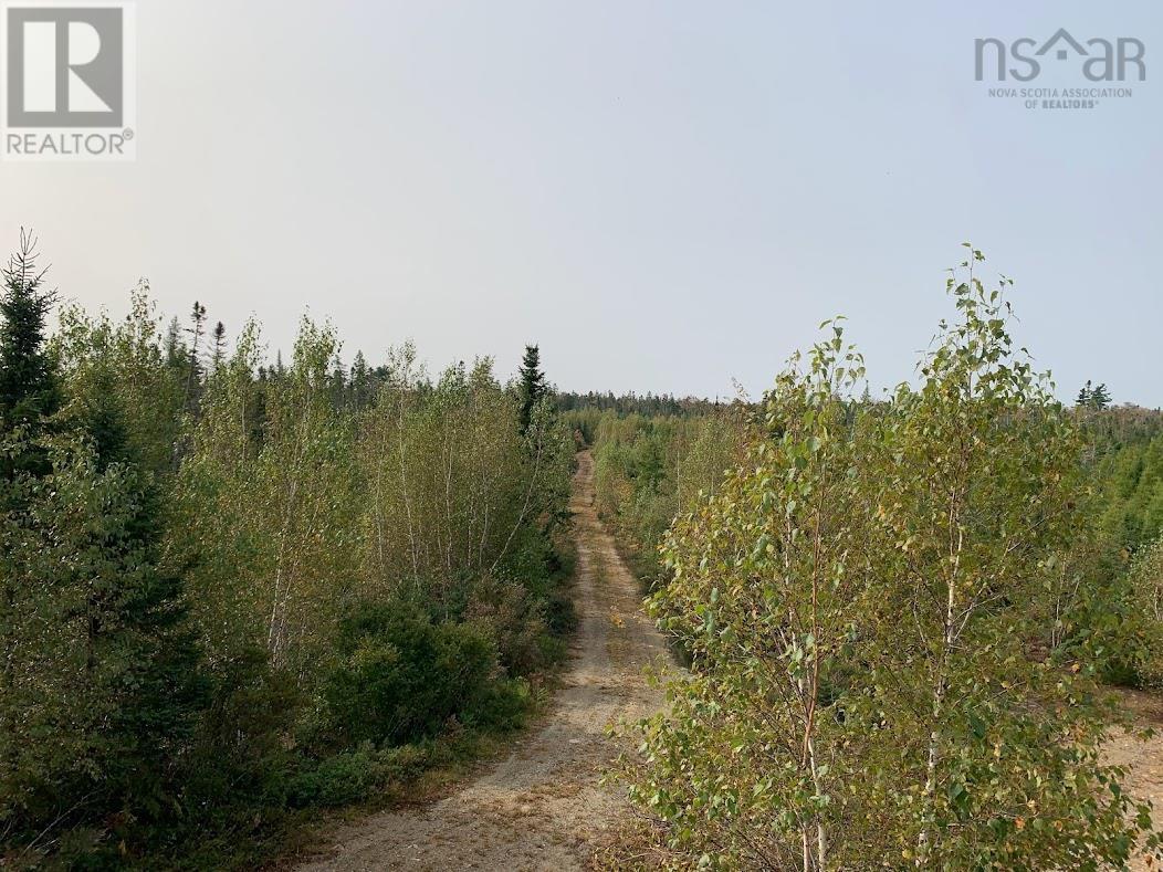 Lot 1 Cabin Pleasant River Preserve - 20