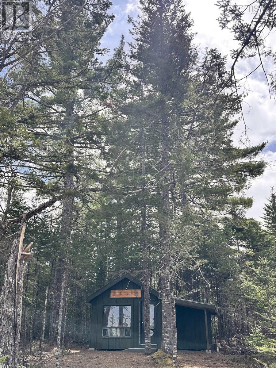 Lot 1 Cabin Pleasant River Preserve - 26
