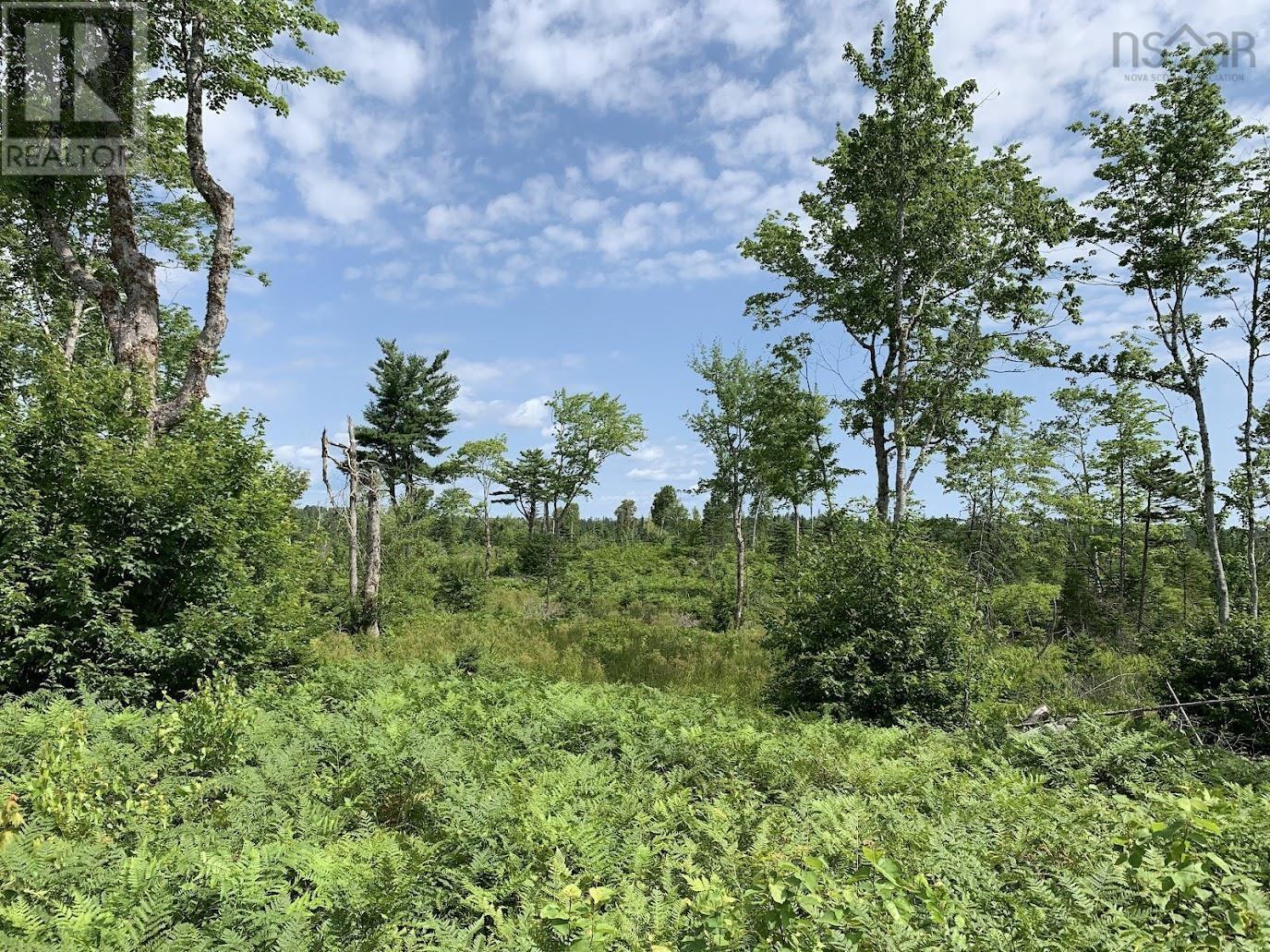 Lot 1 Cabin Pleasant River Preserve - 33