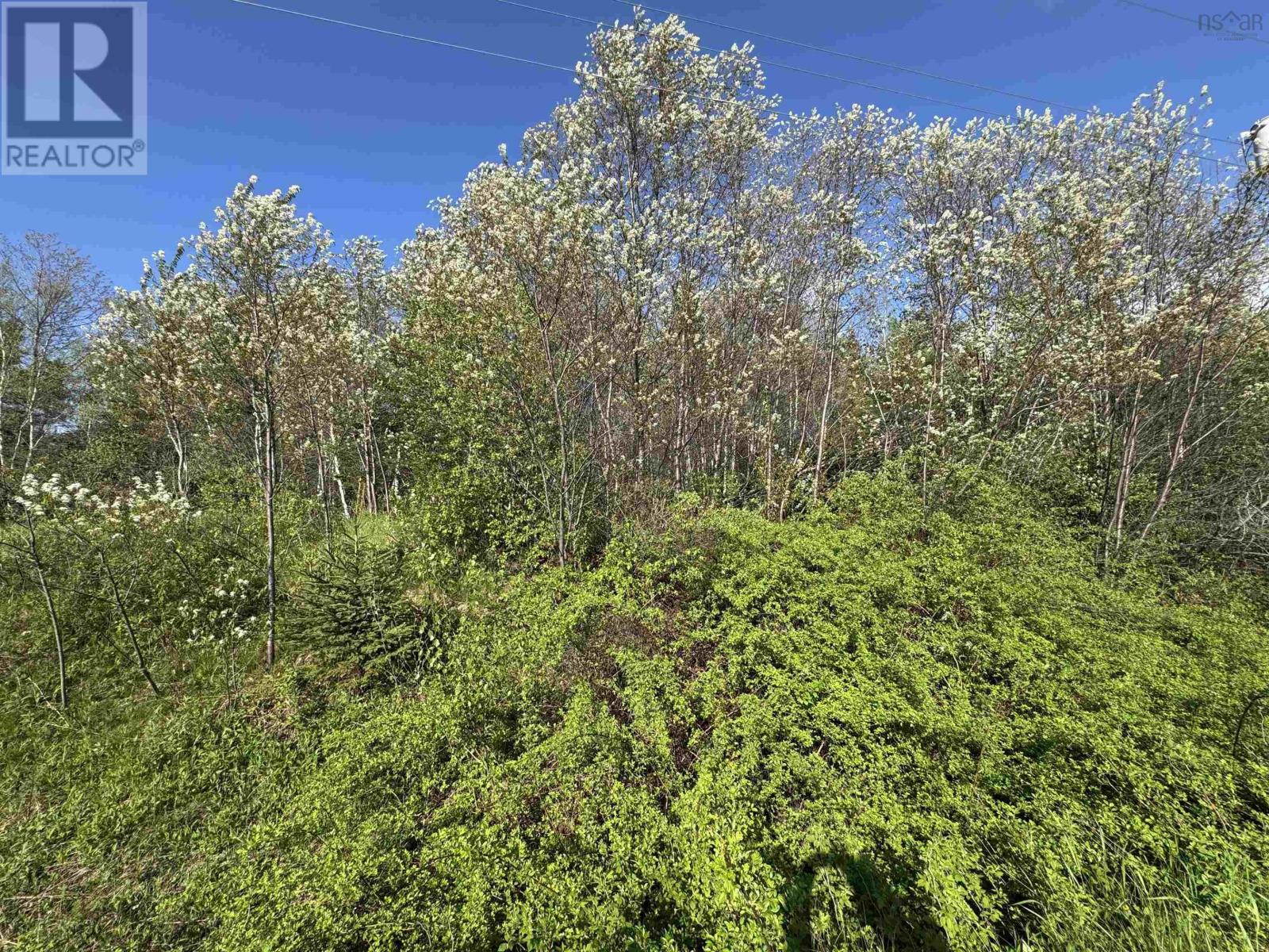 Property 1 of 4 of Lot 06-18 Pictou Landing Road