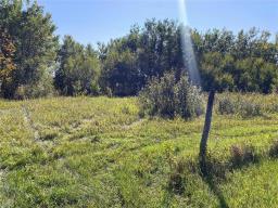 92 West Road, Eden, MB R0J0M0 Photo 9