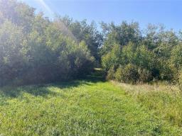 92 West Road, Eden, MB R0J0M0 Photo 6