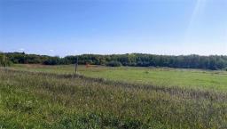 92 West Road, Eden, MB R0J0M0 Photo 10