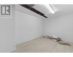 173 Lake Street, St  Catharines, ON L2R5Y8 Photo 42