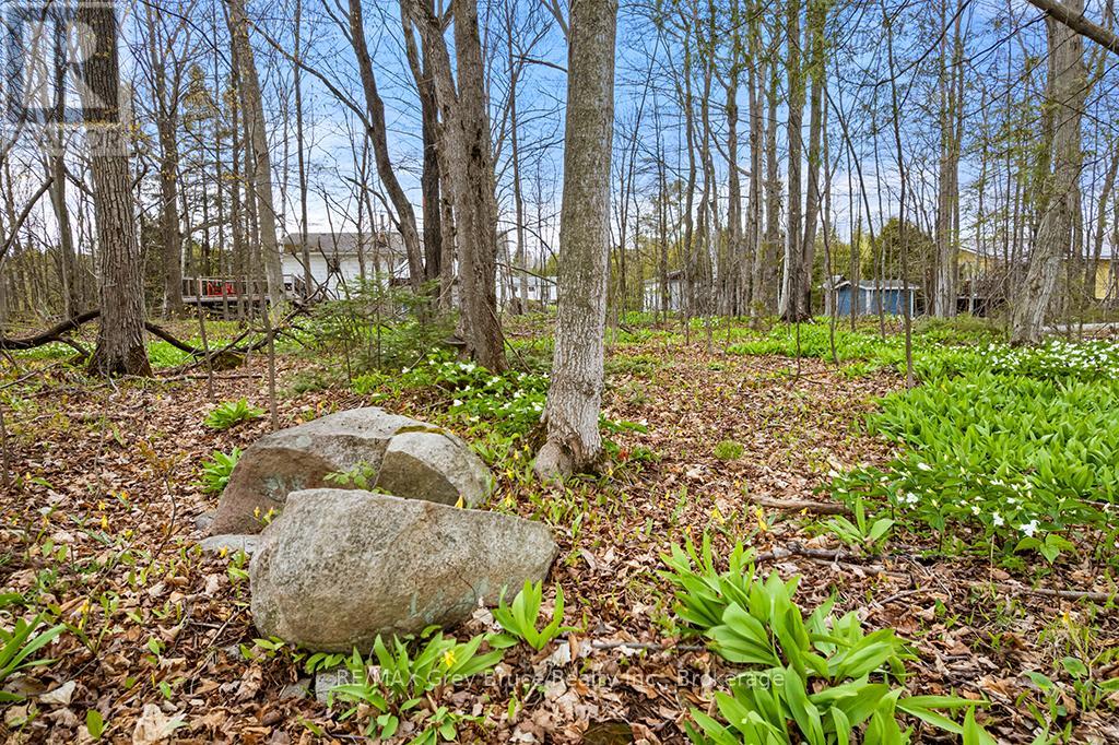 46 MAPLE GOLF CRESCENT - 14