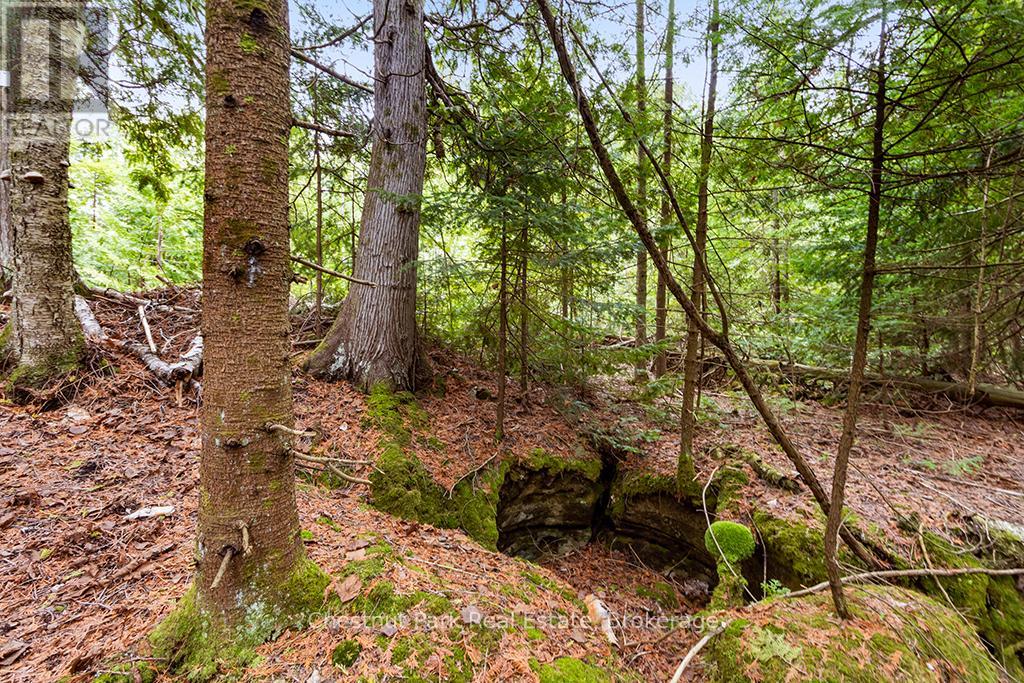 90 DEVILS GLEN - 43