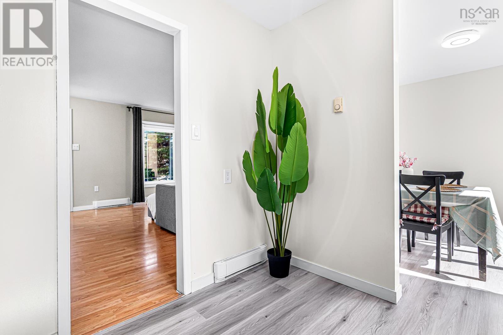 399 Cow Bay Road - 18