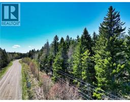 85-197 And 85-198 Harbour Heights Drive, Welshpool, NB E5E1H6 Photo 8