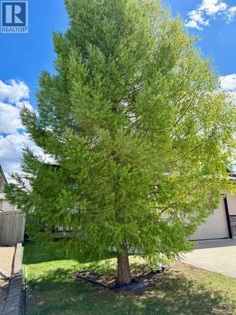 7013 115 Street - 34
