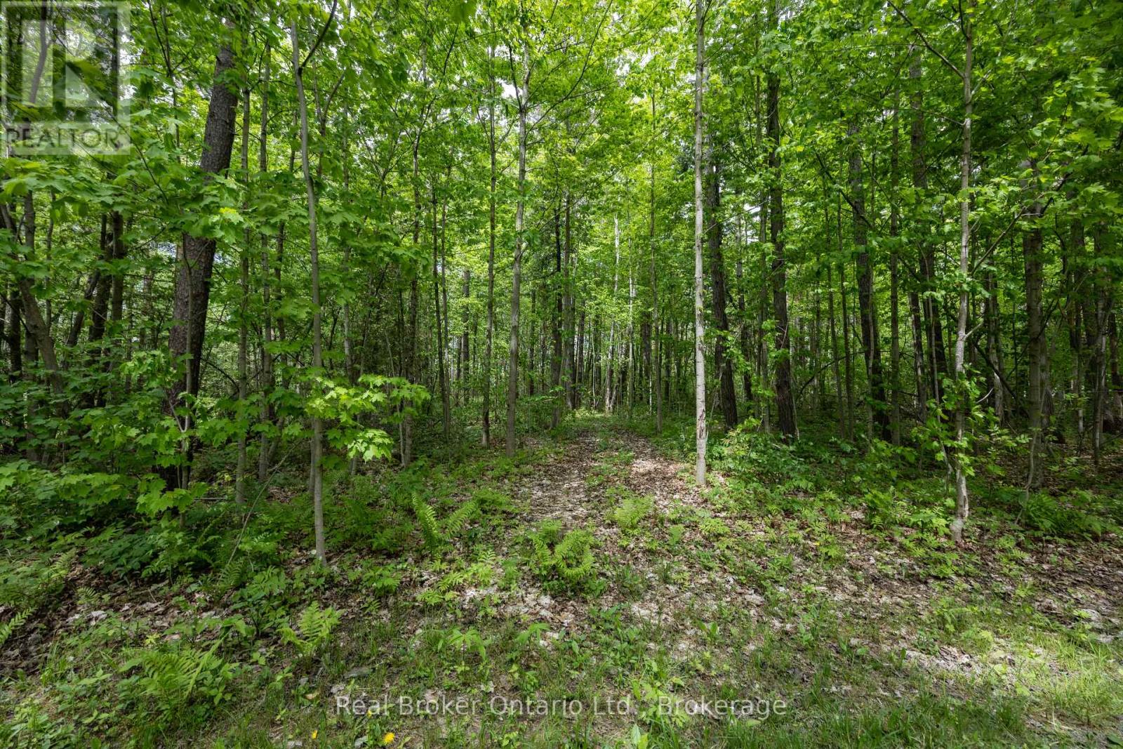 3061 GREEN ROAD - 45