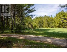 776318 Highway 10, Chatsworth, ON N0H1C0 Photo 30