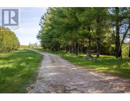 776318 Highway 10, Chatsworth, ON N0H1C0 Photo 31