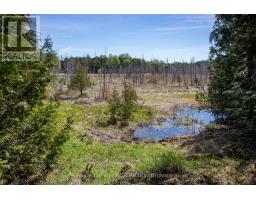 776318 Highway 10, Chatsworth, ON N0H1C0 Photo 32