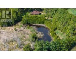 776318 Highway 10, Chatsworth, ON N0H1C0 Photo 33