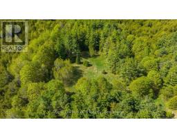 776318 Highway 10, Chatsworth, ON N0H1C0 Photo 35