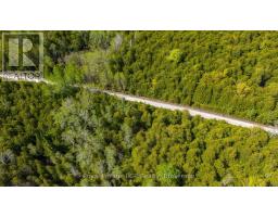776318 Highway 10, Chatsworth, ON N0H1C0 Photo 36