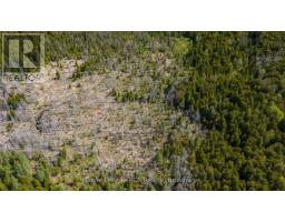 776318 Highway 10, Chatsworth, ON N0H1C0 Photo 37