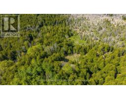 776318 Highway 10, Chatsworth, ON N0H1C0 Photo 38