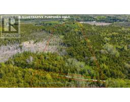 776318 Highway 10, Chatsworth, ON N0H1C0 Photo 39