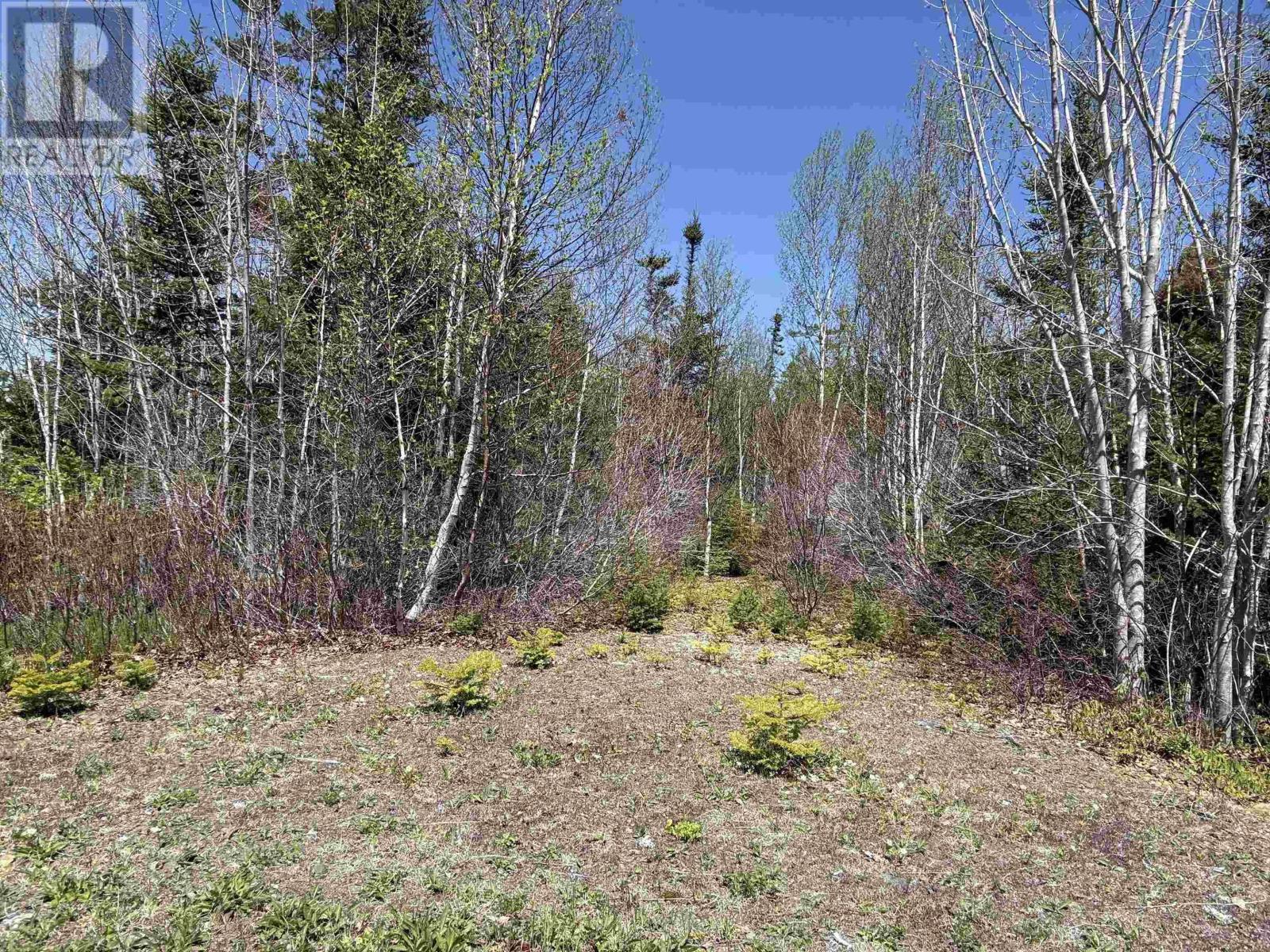Property photo of Lot 22 Marble Mountain Road Road