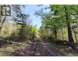 41 Pleasant Ridge Road, Pleasant Ridge, NB E5P0A6 Photo 26