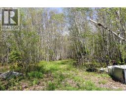 41 Pleasant Ridge Road, Pleasant Ridge, NB E5P0A6 Photo 29