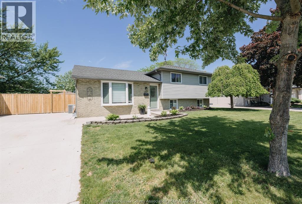 247 Pacific AVENUE - 33