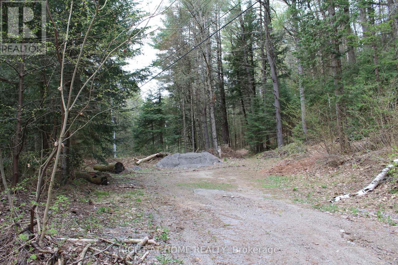 1019 FORRESTER TRAIL
