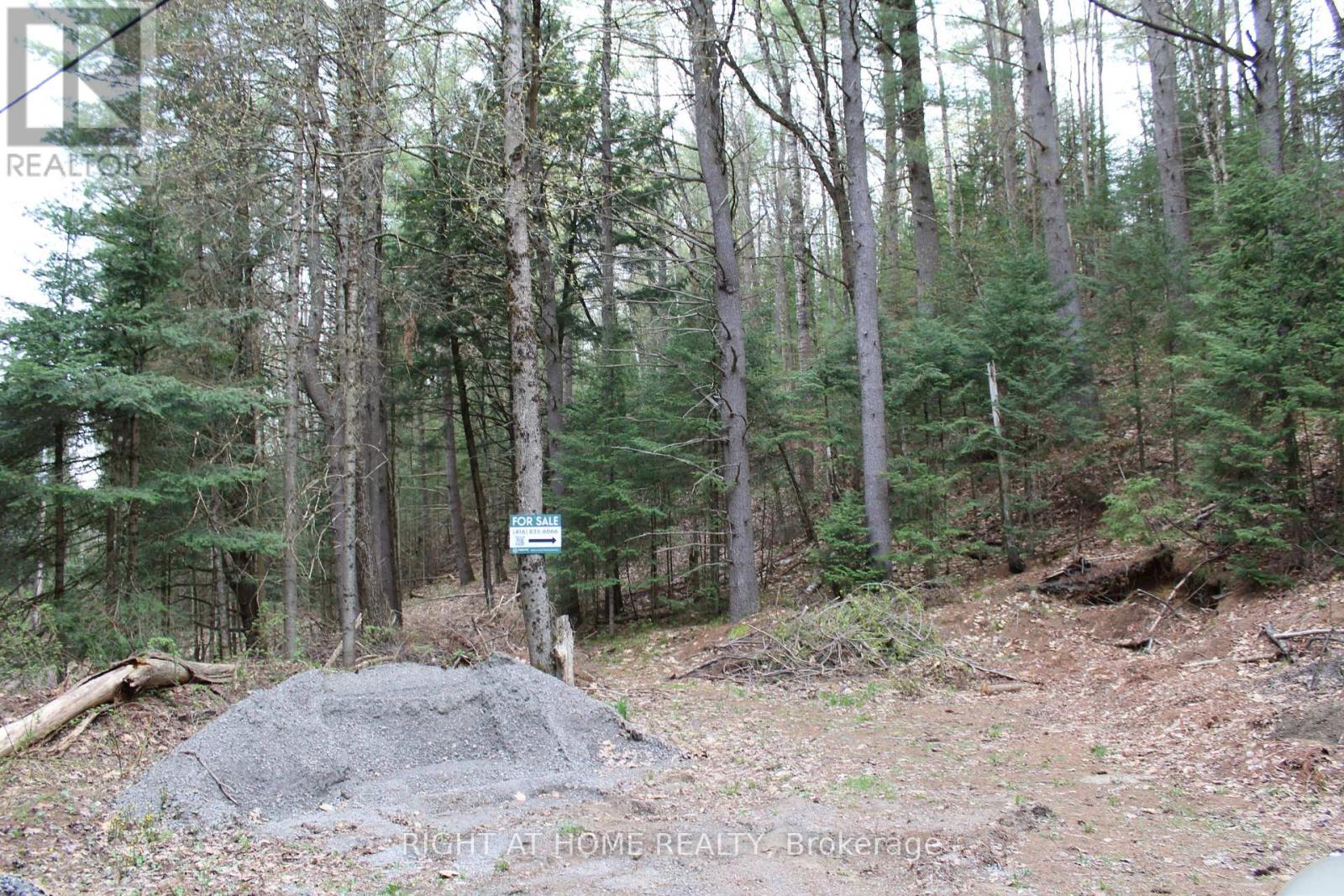 1019 FORRESTER TRAIL
