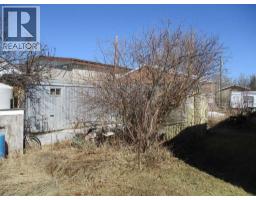 303 4th Avenue Sw, Manning, AB T0H2M0 Photo 8