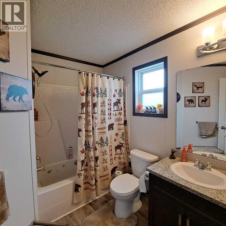 4 piece main bathroom