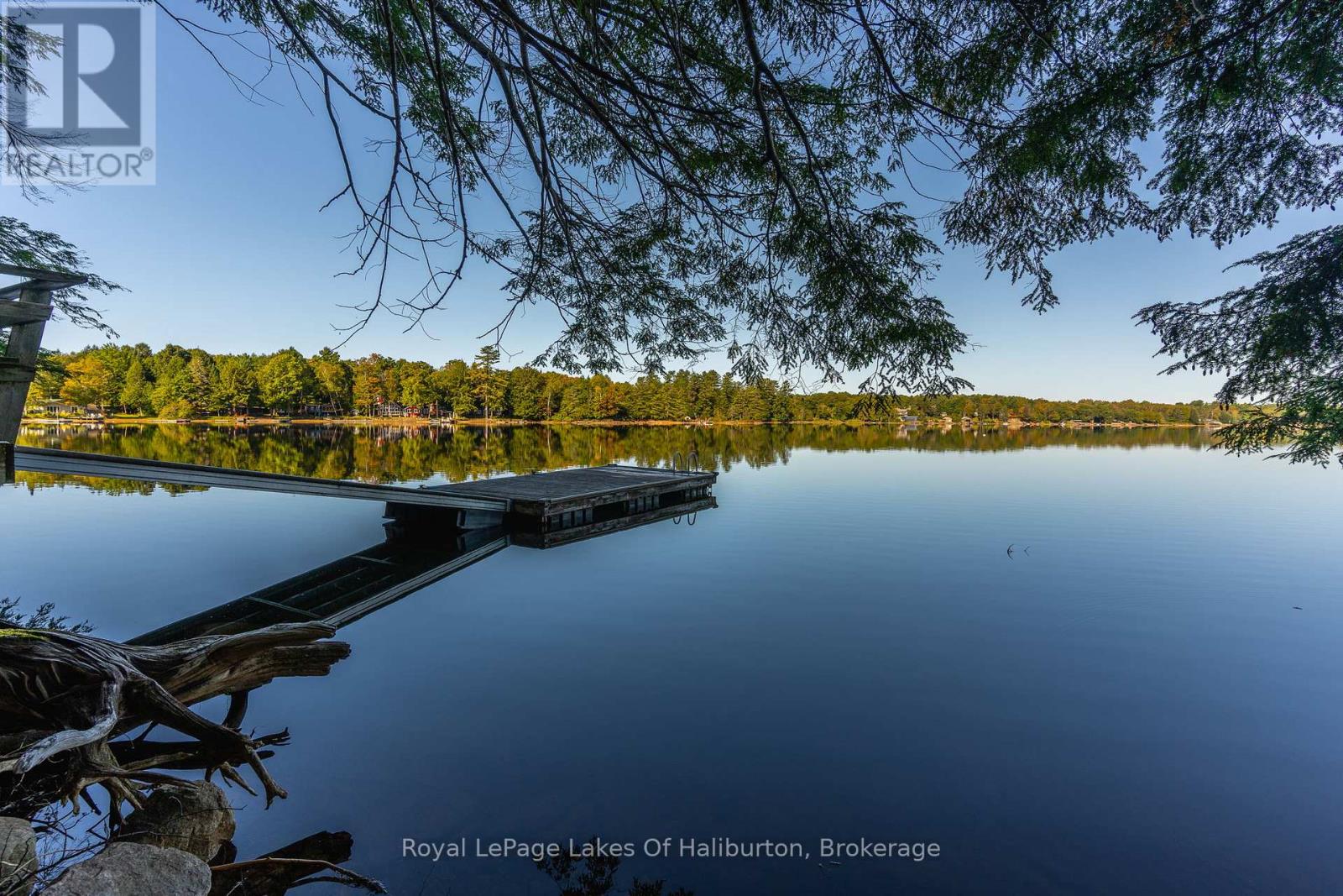 1330 KUSHOG LAKE ROAD - 41