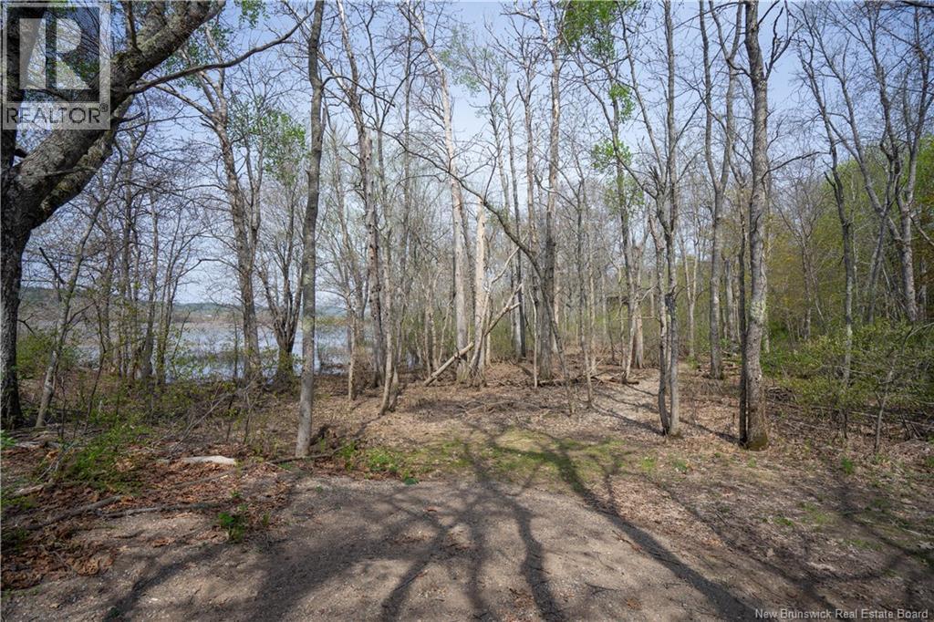 53 Woodmans Point Road - 42