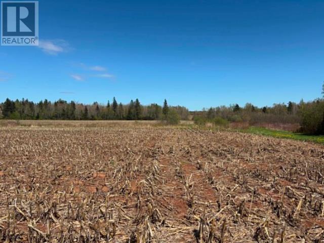 37196 Western Road, 37196 Rte 2, Carleton — photo 2