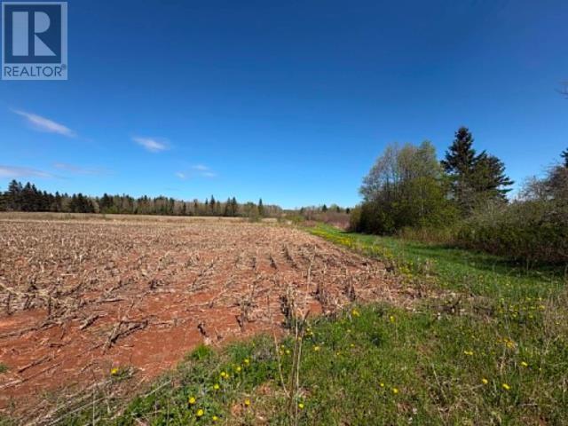 37196 Western Road, 37196 Rte 2, Carleton — photo 3