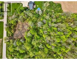 Pt S1/2 Lot 36 Link Road, Haldimand, ON N0A1E0 Photo 7