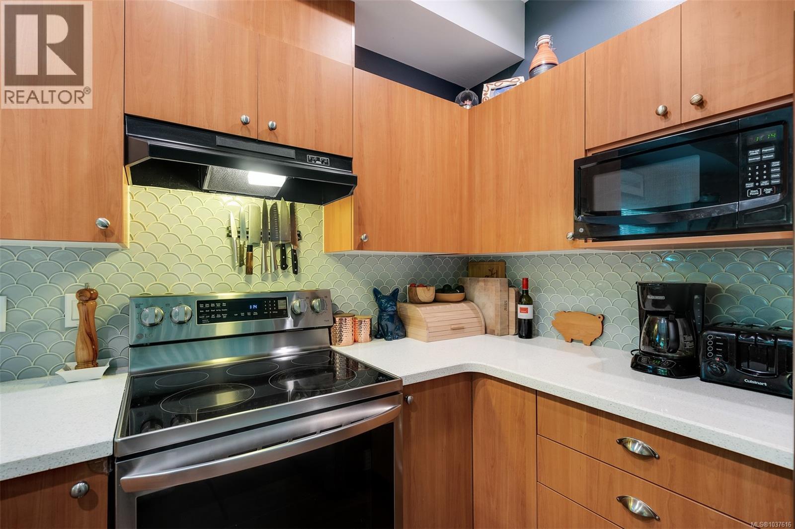 #1 860 Princess Ave - 15