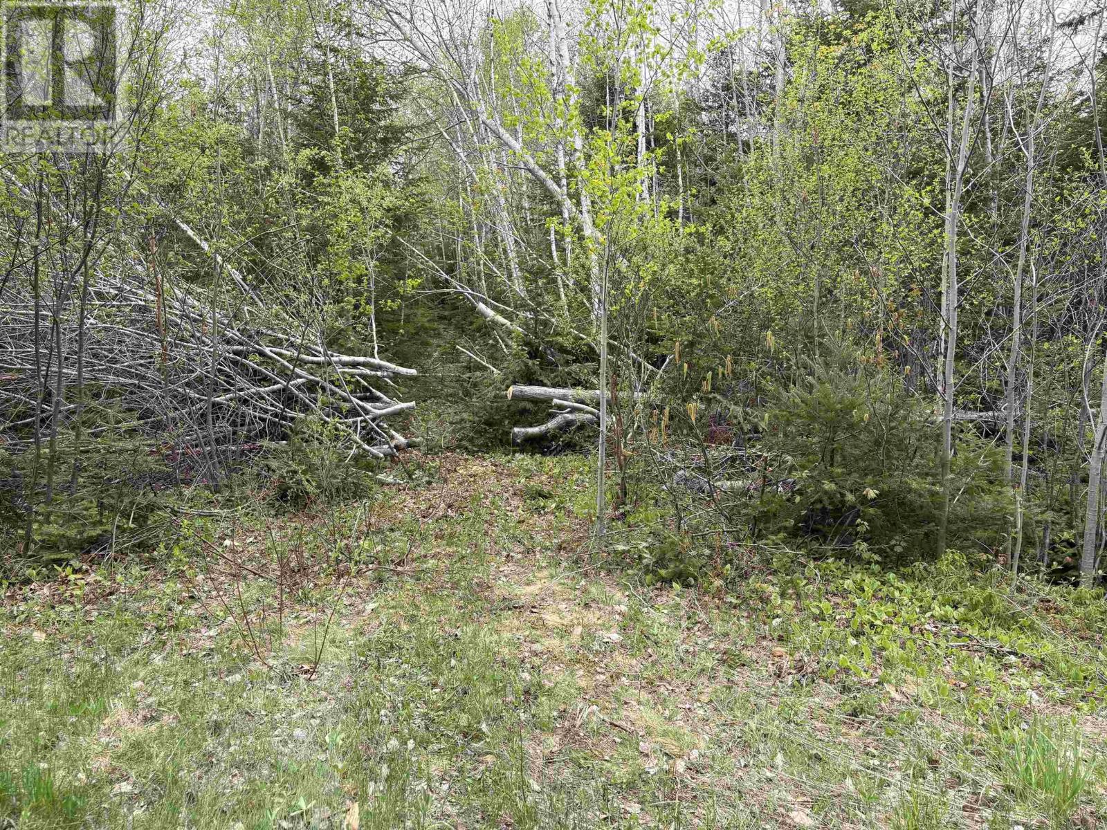 Property 3 of 16 of Sutherlands River Road