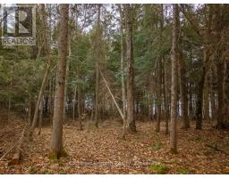 South Lot 18863 Kawagama Lake North Shore, Algonquin Highlands, ON P0A1E0 Photo 12