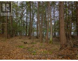 South Lot 18863 Kawagama Lake North Shore, Algonquin Highlands, ON P0A1E0 Photo 13