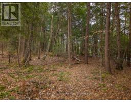 South Lot 18863 Kawagama Lake North Shore, Algonquin Highlands, ON P0A1E0 Photo 14