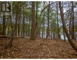 South Lot 18863 Kawagama Lake North Shore, Algonquin Highlands, ON P0A1E0 Photo 15